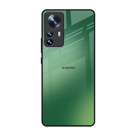 Green Grunge Texture Mi 12 Pro 5G Glass Back Cover Online
