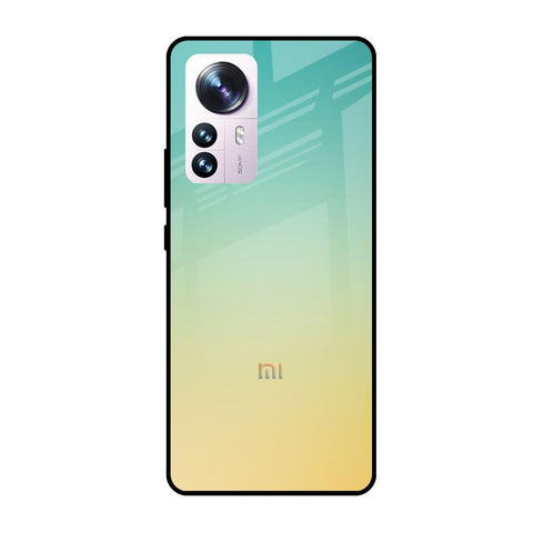 Cool Breeze Mi 12 Pro 5G Glass Cases & Covers Online