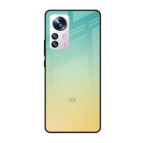 Cool Breeze Mi 12 Pro 5G Glass Cases & Covers Online