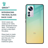 Cool Breeze Glass case for Mi 12 Pro 5G