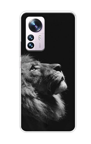 Lion Looking to Sky Mi 12 Pro 5G Back Cover