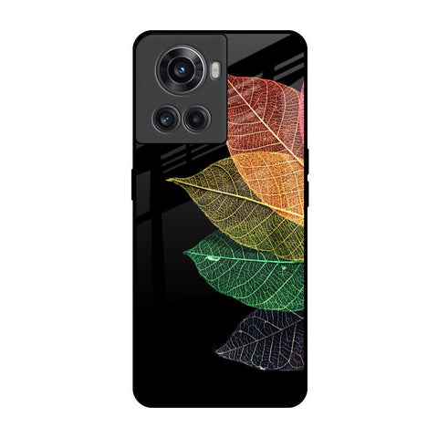 Colorful Leaves OnePlus 10R 5G Glass Back Cover Online