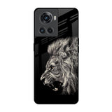 Brave Lion OnePlus 10R 5G Glass Back Cover Online
