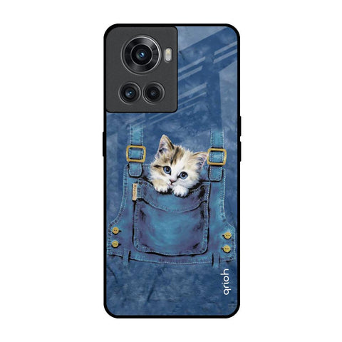 Kitty In Pocket OnePlus 10R 5G Glass Back Cover Online