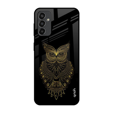 Golden Owl Samsung Galaxy F13 Glass Back Cover Online