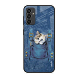 Kitty In Pocket Samsung Galaxy F13 Glass Back Cover Online