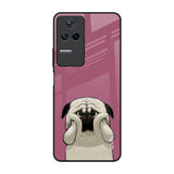 Funny Pug Face Poco F4 5G Glass Back Cover Online