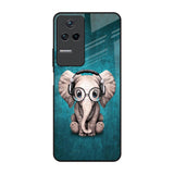 Adorable Baby Elephant Poco F4 5G Glass Back Cover Online