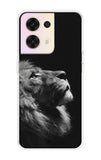 Lion Looking to Sky Oppo Reno8 5G Back Cover