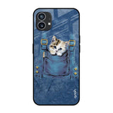 Kitty In Pocket Nothing Phone (1) Glass Cases & Covers Online