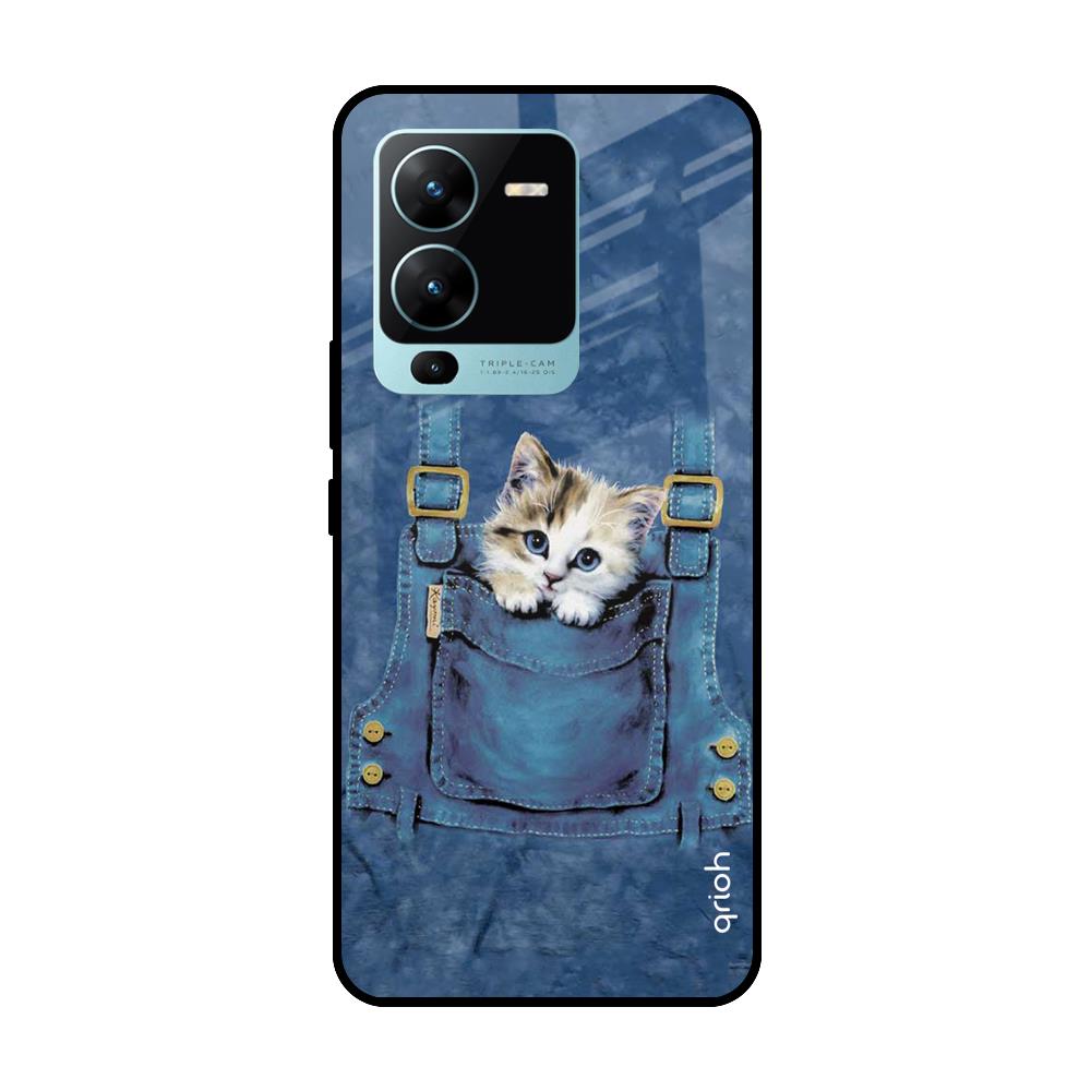 Kitty In Pocket Vivo V25 Pro Glass Cases & Covers Online