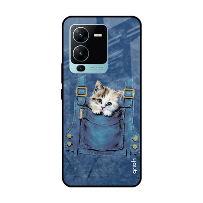 Kitty In Pocket Vivo V25 Pro Glass Cases & Covers Online