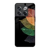 Colorful Leaves OnePlus 10T 5G Glass Back Cover Online