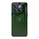 Deep Forest OnePlus 10T 5G Glass Back Cover Online