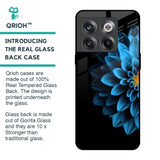 Half Blue Flower Glass Case for OnePlus 10T 5G