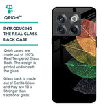 Colorful Leaves Glass Case for OnePlus 10T 5G