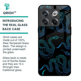 Serpentine Glass Case for OnePlus 10T 5G