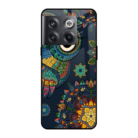 Owl Art OnePlus 10T 5G Glass Cases & Covers Online