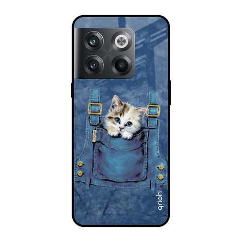 Kitty In Pocket OnePlus 10T 5G Glass Cases & Covers Online
