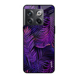 Plush Nature OnePlus 10T 5G Glass Cases & Covers Online