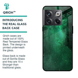 Emerald Firefly Glass Case For OnePlus 10T 5G