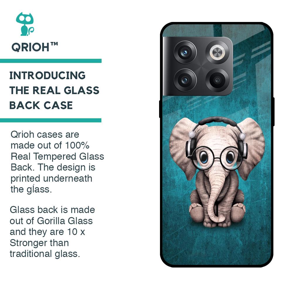 Adorable Baby Elephant Glass Case For OnePlus 10T 5G