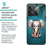 Adorable Baby Elephant Glass Case For OnePlus 10T 5G