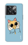 Attitude Cat OnePlus 10T 5G Back Cover