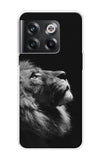 Lion Looking to Sky OnePlus 10T 5G Back Cover
