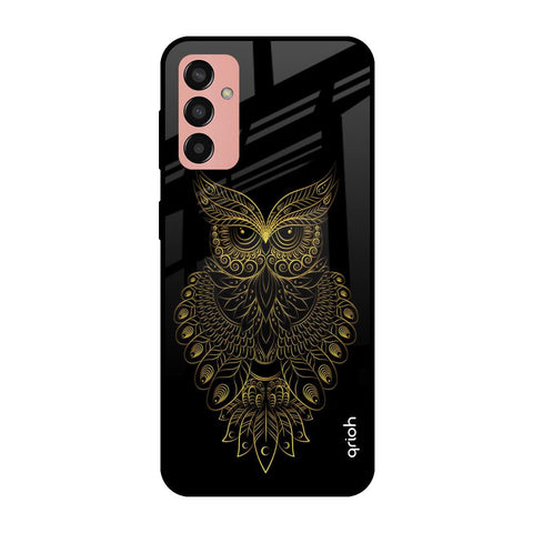 Golden Owl Samsung Galaxy M13 Glass Cases & Covers Online