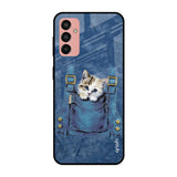 Kitty In Pocket Samsung Galaxy M13 Glass Cases & Covers Online