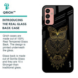 Golden Owl Glass Case for Samsung Galaxy M13