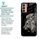 Brave Lion Glass case for Samsung Galaxy M13