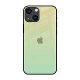 Mint Green Gradient iPhone 14 Plus Glass Back Cover Online