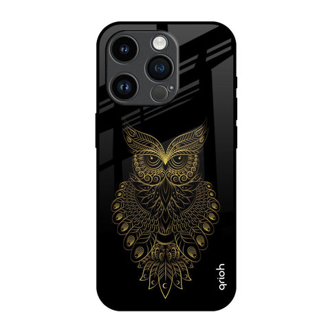 Golden Owl iPhone 14 Pro Glass Back Cover Online