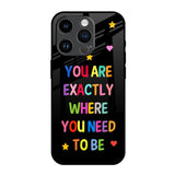 Magical Words iPhone 14 Pro Glass Back Cover Online