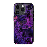 Plush Nature iPhone 14 Pro Glass Back Cover Online