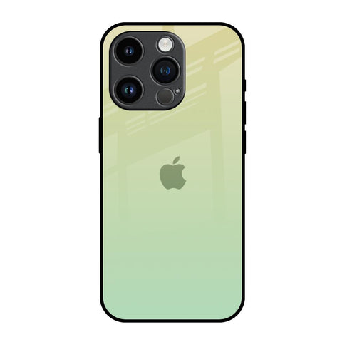 Mint Green Gradient iPhone 14 Pro Glass Back Cover Online