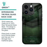 Green Leather Glass Case for iPhone 14 Pro