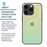 Mint Green Gradient Glass Case for iPhone 14 Pro