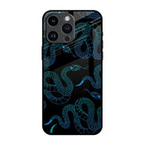 Serpentine iPhone 14 Pro Max Glass Back Cover Online