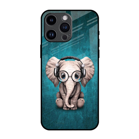 Adorable Baby Elephant iPhone 14 Pro Max Glass Back Cover Online