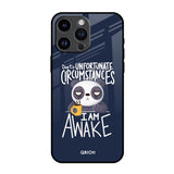 Struggling Panda iPhone 14 Pro Max Glass Back Cover Online