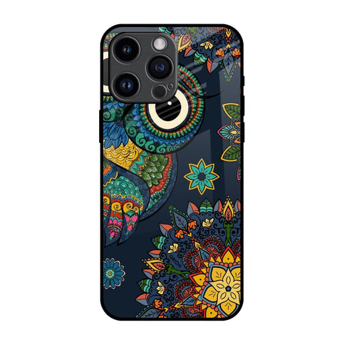 Owl Art iPhone 14 Pro Max Glass Back Cover Online