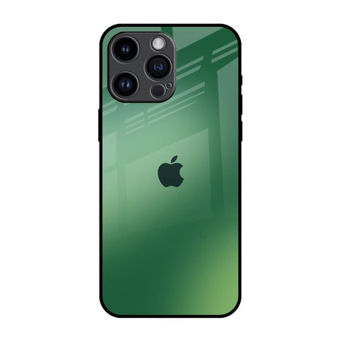 Green Grunge Texture iPhone 14 Pro Max Glass Back Cover Online