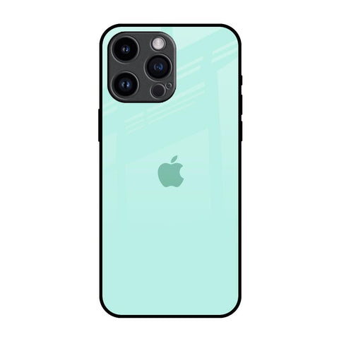 Teal iPhone 14 Pro Max Glass Back Cover Online