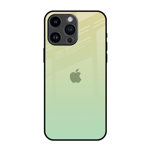 Mint Green Gradient iPhone 14 Pro Max Glass Back Cover Online