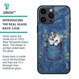 Kitty In Pocket Glass Case For iPhone 14 Pro Max