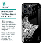 Kitten Mandala Glass Case for iPhone 14 Pro Max