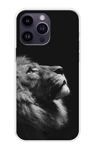 Lion Looking to Sky iPhone 14 Pro Max Back Cover